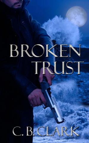Cover of the book Broken Trust by Debra  St. John
