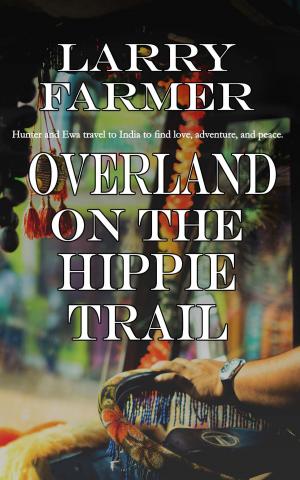 Cover of the book Overland on the Hippie Trail by Eva  Gordon