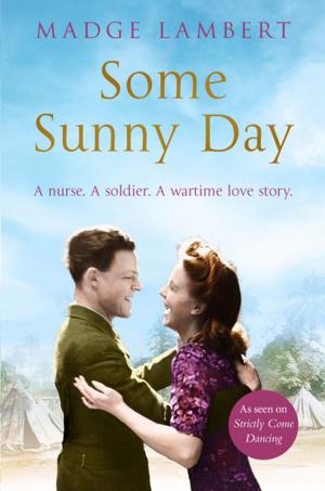 Book cover of Some Sunny Day
