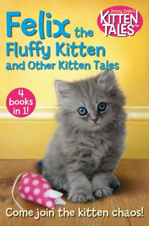 Cover of the book Felix the Fluffy Kitten and Other Kitten Tales by Nerys Jones