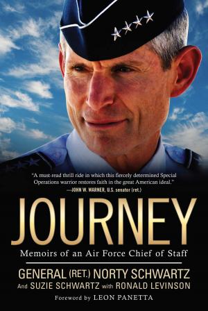 Cover of the book Journey by John 