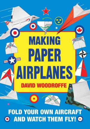 Cover of the book Making Paper Airplanes by Martin P. Levin
