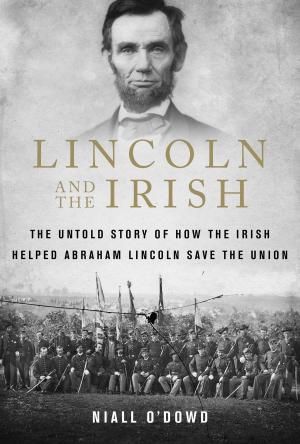 Cover of the book Lincoln and the Irish by Viveka Blom Nygren