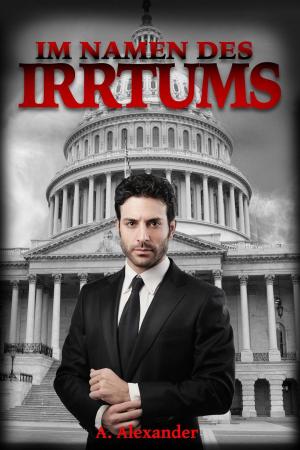 Cover of the book Im Namen des Irrtums by Daniel Castro