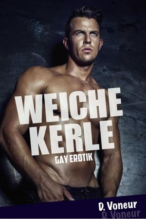 Book cover of Weiche Kerle: Gay Erotik
