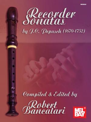 Cover of the book Recorder Sonatas by Alan Munde
