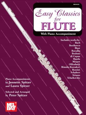 Book cover of Easy Classics for Flute