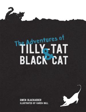 Cover of the book The Adventures of Tilly-Tat and Black Cat by R.M Hogan