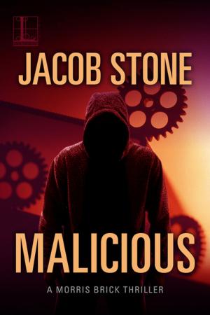 Cover of the book Malicious by Fabrice AGUILLON