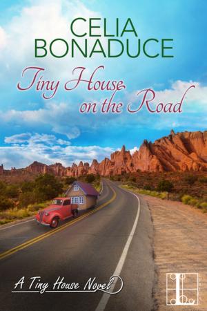 Cover of the book Tiny House on the Road by Alexandra Ivy