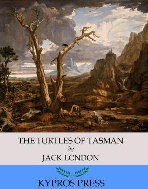 Cover of the book The Turtles of Tasman by Robert D. Jones