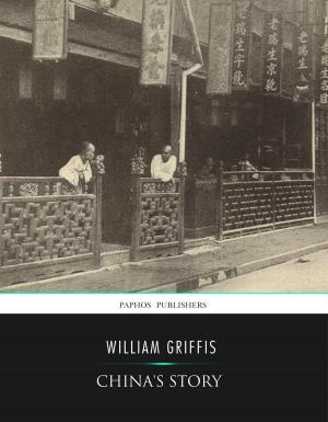 Cover of the book China's Story by Richard B. Irwin