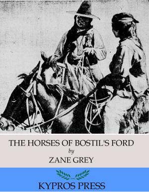 Book cover of The Horses of Bostil’s Ford