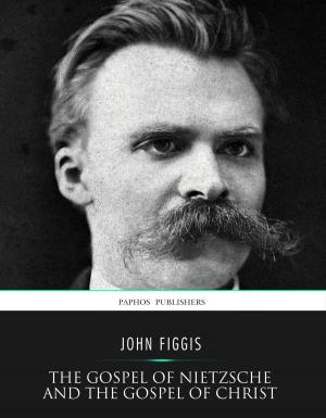 Book cover of The Gospel of Nietzsche and the Gospel of Christ