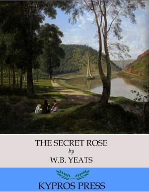 Cover of the book The Secret Rose by J. D. Dana