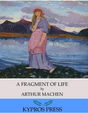 Book cover of A Fragment of Life