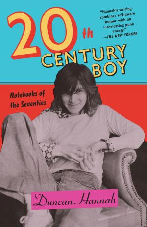 Cover of the book Twentieth-Century Boy by J. California Cooper