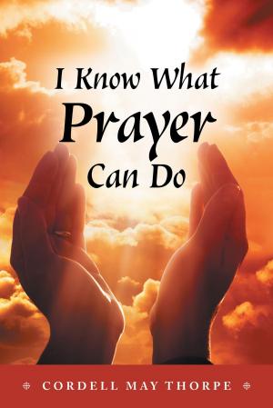 Cover of the book I Know What Prayer Can Do by Andrew Brottvick
