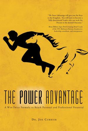 Book cover of The Power Advantage