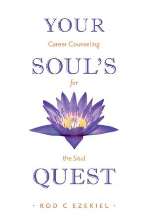 Cover of the book Your Soul's Quest by Richard Boston, Peter Hawkins