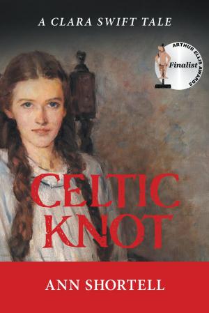 Cover of the book Celtic Knot by Ron Sokol