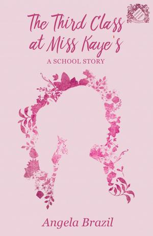 Book cover of The Third Class at Miss Kaye's - A School Story