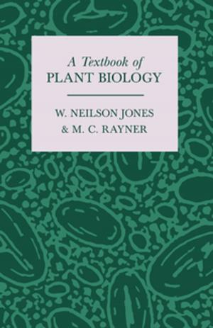 Cover of the book A Textbook of Plant Biology by Edward Thomas