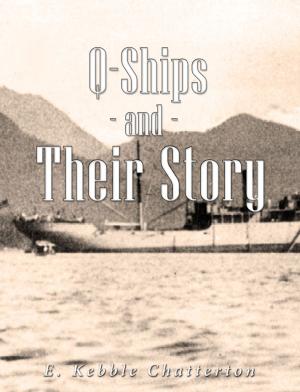 Cover of the book Q-Ships and Their Story by Wade Hampton III
