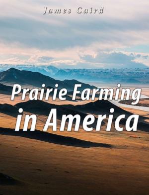 Cover of the book Prairie Farming in America by Martin Van Buren