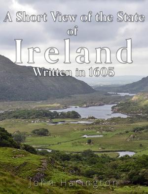 bigCover of the book A Short View of the State of Ireland, Written in 1605 by 