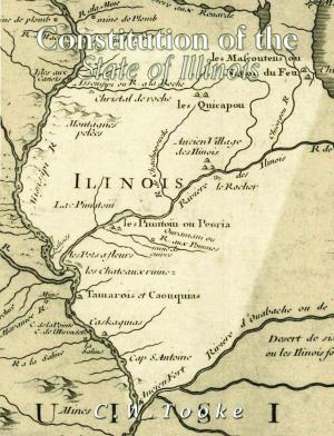 Cover of the book Constitution of the State of Illinois by Charles River Editors