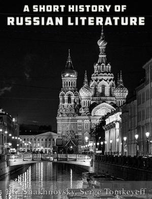 bigCover of the book A Short History of Russian Literature by 