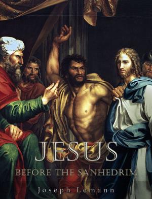 Cover of the book Jesus before the Sanhedrim by George Moore