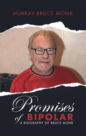 Book cover of Promises of Bipolar