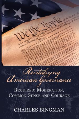 Cover of the book Revitalizing American Governance by Zia Uddin Ahmed