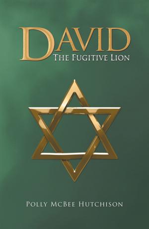 Cover of the book David by Sahbra Anna Markus