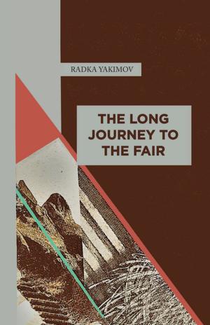 Cover of the book The Long Journey to the Fair by SB Lopez
