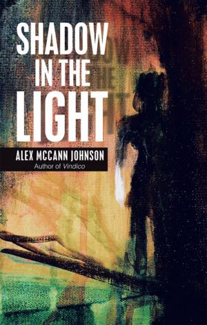 Cover of the book Shadow in the Light by John Reddie
