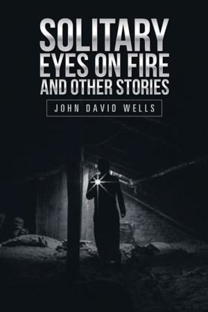 Book cover of Solitary Eyes on Fire and Other Stories