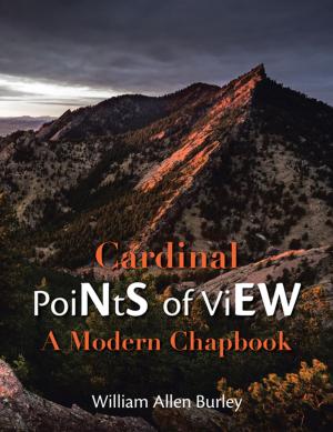 Cover of the book Cardinal Points of View by Robert Joseph O’Guillory