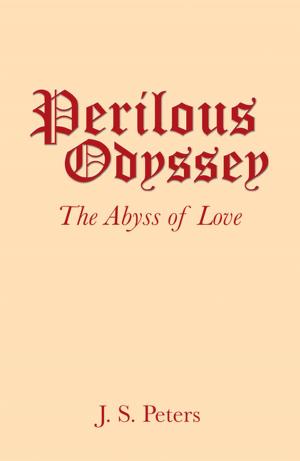 Book cover of Perilous Odyssey