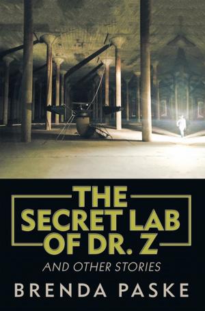 Cover of the book The Secret Lab of Dr. Z by Eddie Marie Durham