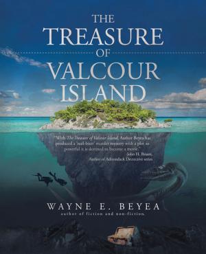 Cover of the book The Treasure of Valcour Island by Justin C. Vovk