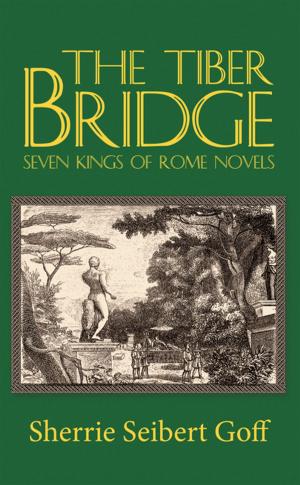 Book cover of The Tiber Bridge