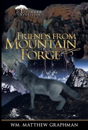 Cover of the book Friends from Mountain Forge by Rob Henson CFRE