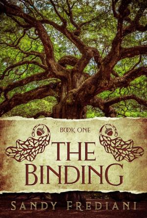 Cover of the book The Binding by David Steffen, Mary Robinette Kowal, Max Gladstone, Naomi Kritzer, Ursula Vernon, Charlie Jane Anders, Tobias S. Buckell, Nick Wolven, Jamie Wahls, Alex Acks, Sarah Gailey, JY Yang, Jess Barber, Sara Saab, Kelly Robson