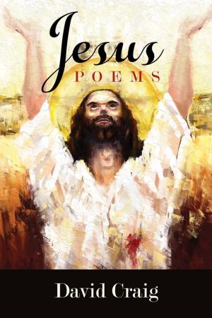 Cover of the book Jesus by Gisela H. Kreglinger