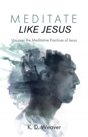 Cover of the book Meditate Like Jesus by Guillemette le Vallon de la Ménodière