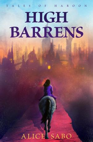 Book cover of High Barrens