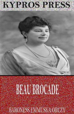 Cover of the book Beau Brocade by Christopher Hallowell